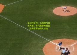 足彩网官网：伤病潮与战术失误，申花赛季末崩盘，无缘冠军的两大症结