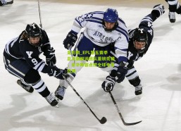 足彩网_EPL第五赛季总决赛解说团队重磅亮相，豪华阵容点燃全球电竞热潮