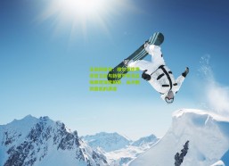 足彩网首页：维尔茨德甲收官五战与新赛季开局五场表现深度解析，从冲刺到启航的演变