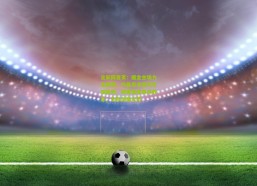 足彩网首页：掘金主场力克鹈鹕，约基奇准四双引领胜利，穆雷低迷奇兵救主，全队剑指火箭