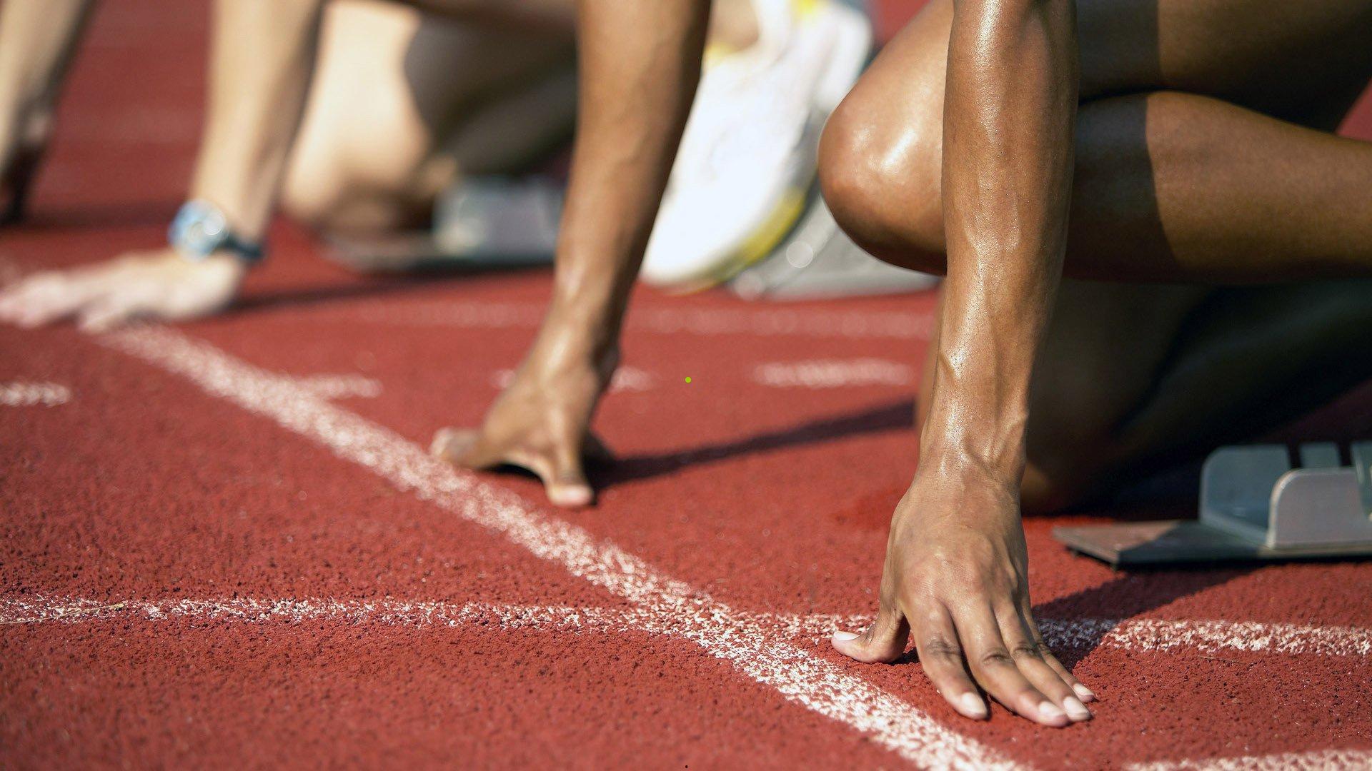 宠物足球新星影石lolamessipaws的脚法引发全球世界杯猜想